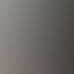 Free Bootstrap Template by sylfleur.com